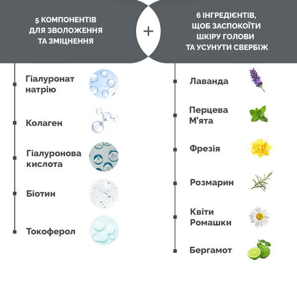 Шампунь для сухого та пошкодженого волосся Dr.FORHAIR Folligen Silk Shampoo, 500мл 8809485532660 фото