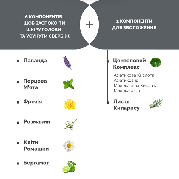 Пілінг для шкіри голови з частинками солі з мертвого моря Dr.FORHAIR Sea Salt Scaler, 300мл 8809485531991 фото